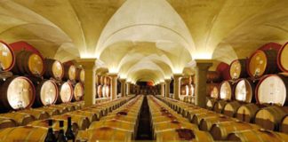 Wine Museum in Bardolino