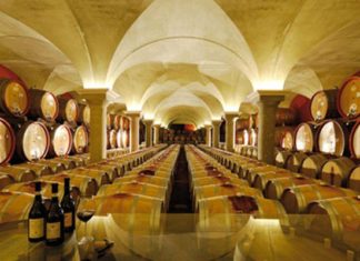 Wine Museum in Bardolino