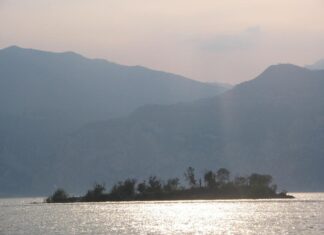 Olive Island, in the heart of Garda Isola dell'Olivo