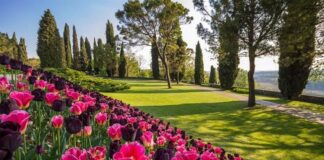 Sigurtà Park: the beauty of nature near Lake Garda Parco Giardino Sigurtà
