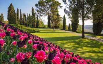 Sigurtà Park: the beauty of nature near Lake Garda Parco Giardino Sigurtà